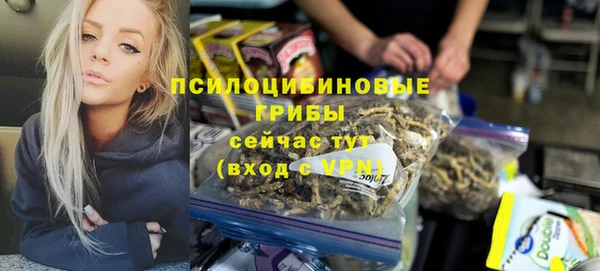 дживик Елизово