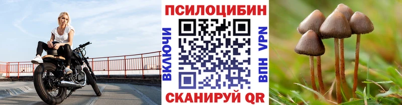 Псилоцибиновые грибы мицелий  Заволжье 