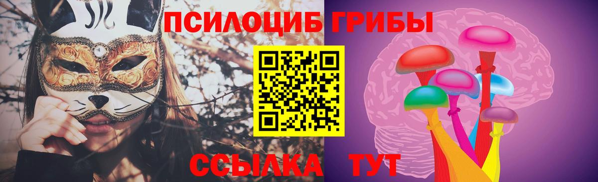 Псилоцибиновые грибы GOLDEN TEACHER Заволжье